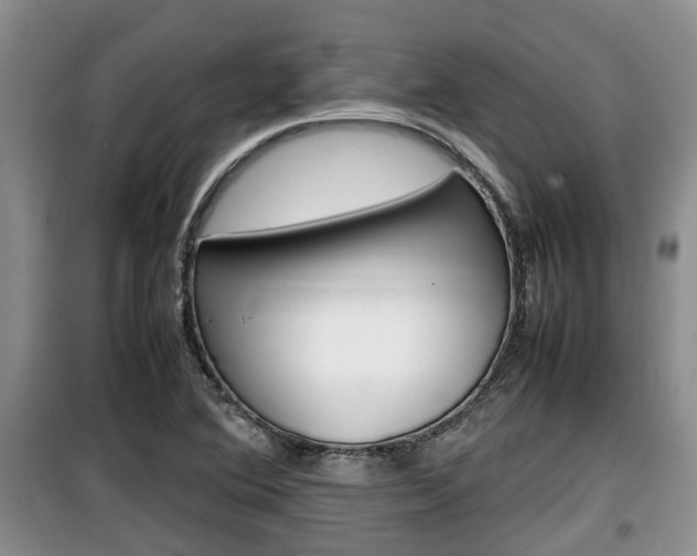X0000100191364200805300715