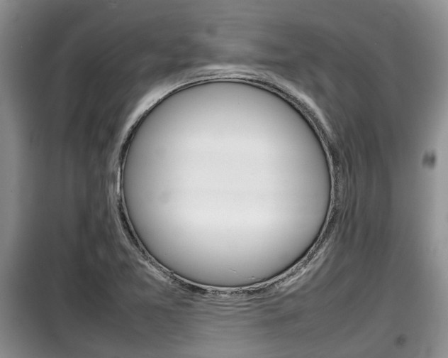 X0000100191365200805300715