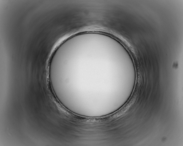X0000100191366200805300715