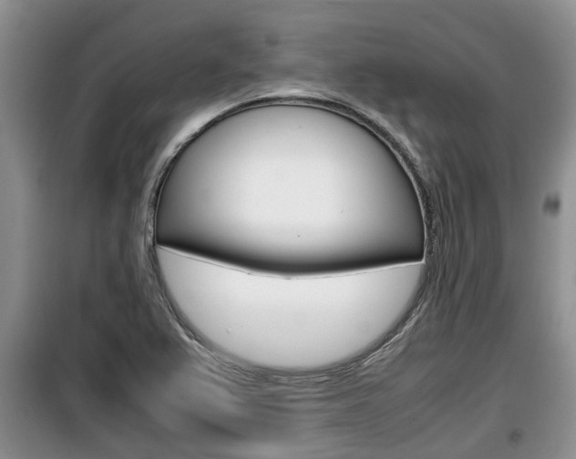 X0000100191367200805300715