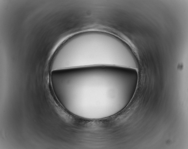 X0000100191368200805300715