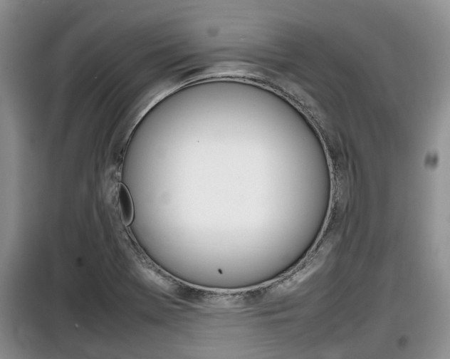X0000100191369200805300715