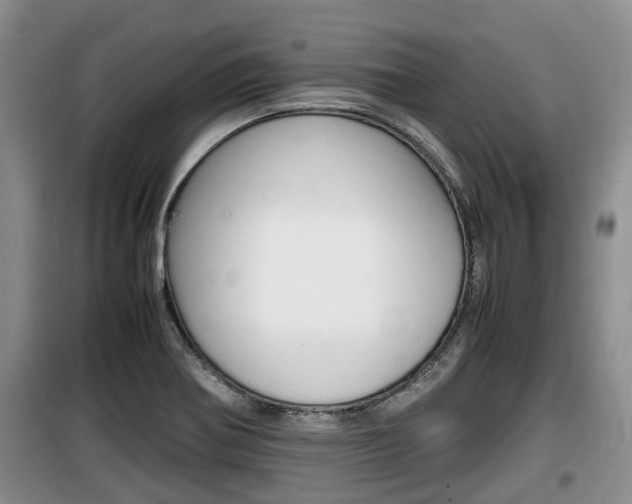 X0000100191370200805300715