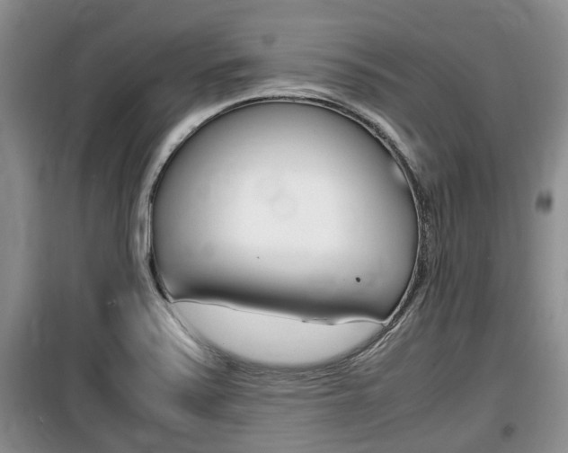 X0000100191371200805300715