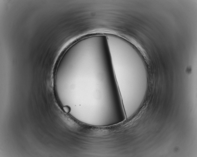 X0000100191372200805300715