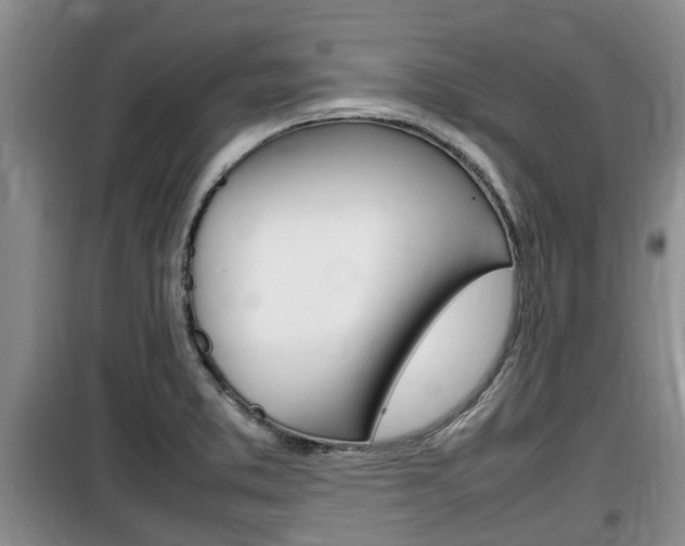 X0000100191373200805300715