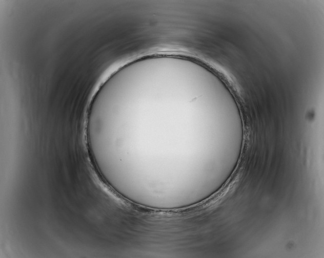 X0000100191374200805300715