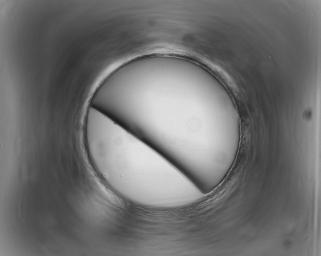 X0000100191375200805300715