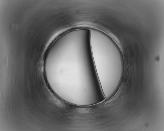 X0000100191376200805300715