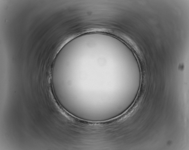 X0000100191377200805300715
