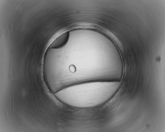 X0000100191378200805300715