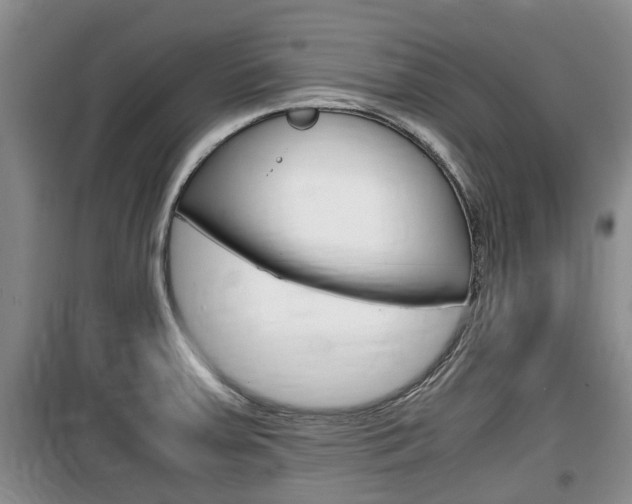 X0000100191379200805300715