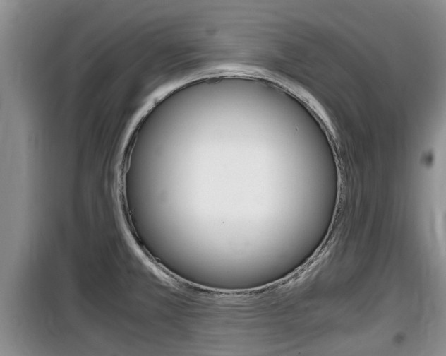 X0000100191381200805300715
