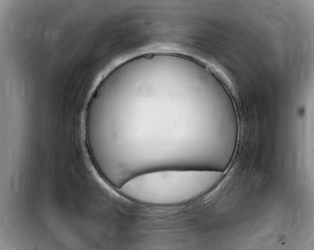 X0000100191382200805300715
