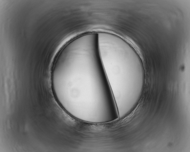 X0000100191384200805300715