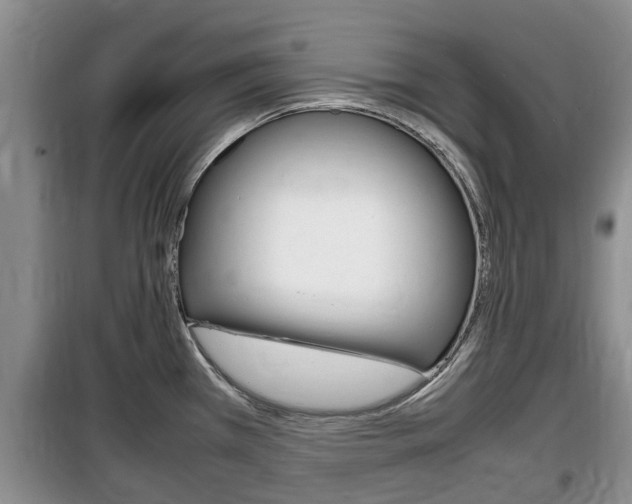 X0000100191385200805300715