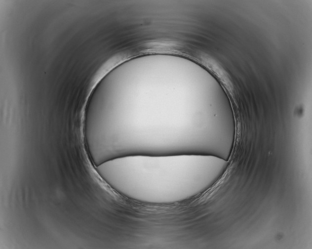 X0000100191386200805300715