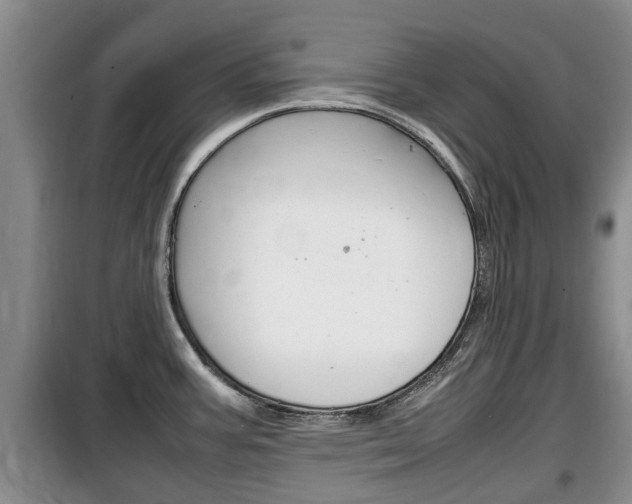 X0000100191387200805300715