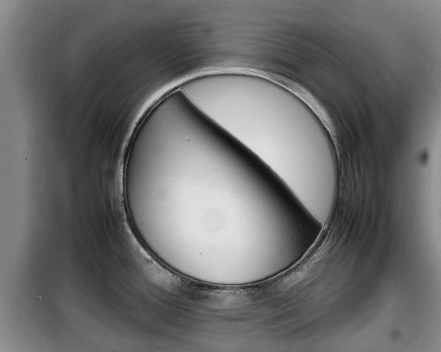 X0000100191388200805300715