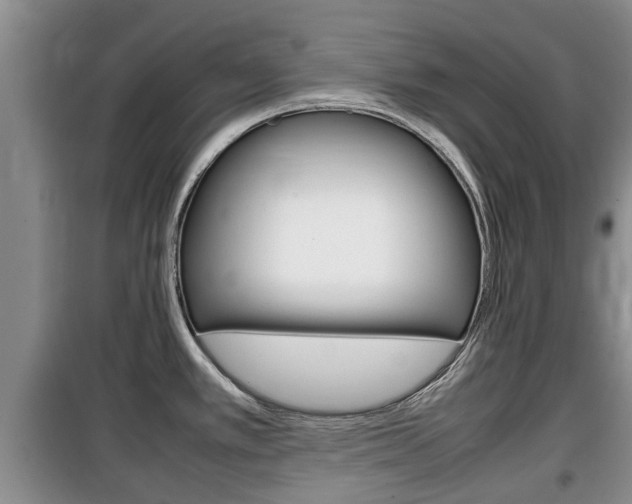 X0000100191389200805300715