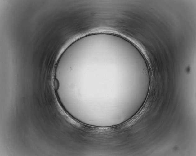X0000100191390200805300715