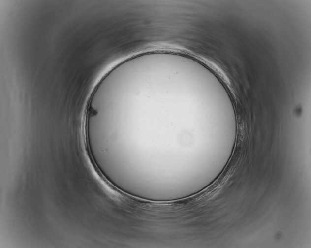 X0000100191391200805300715