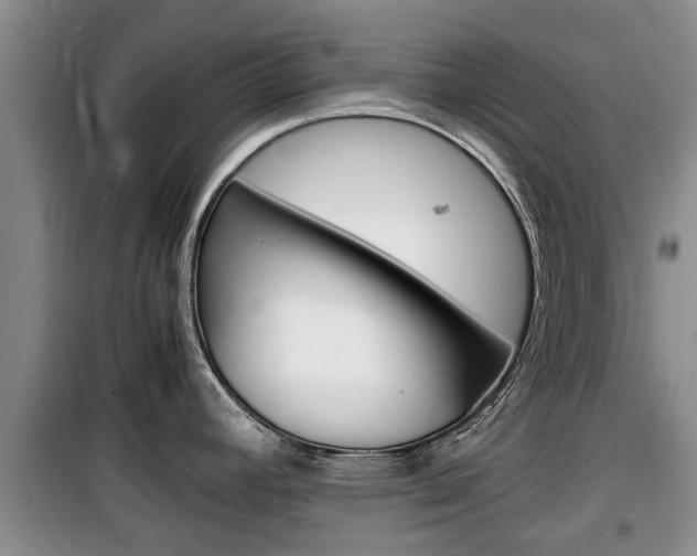 X0000100191392200805300715