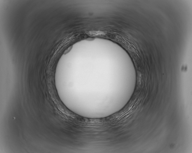 X0000100191393200805300714
