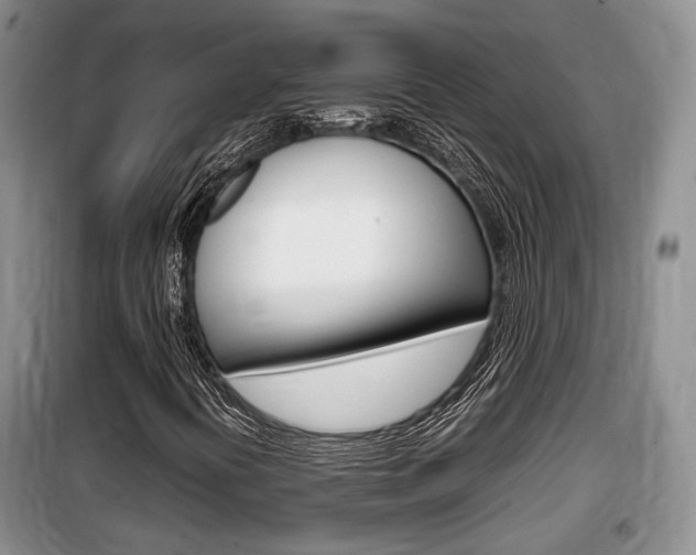 X0000100191394200805300714