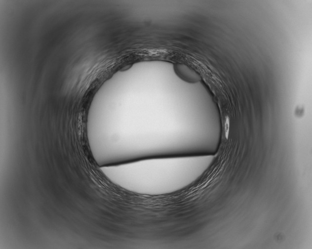 X0000100191395200805300714