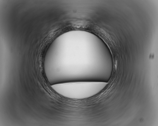 X0000100191396200805300714