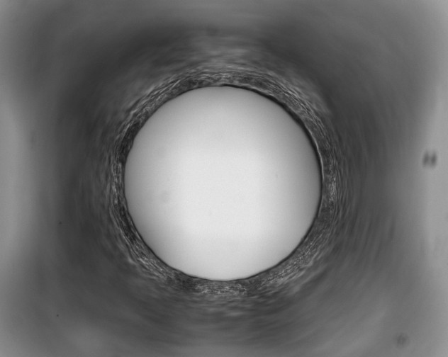 X0000100191397200805300714