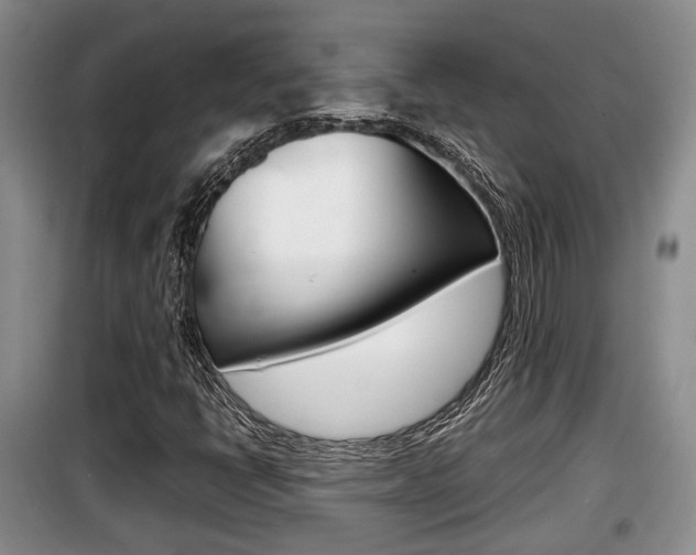 X0000100191398200805300714