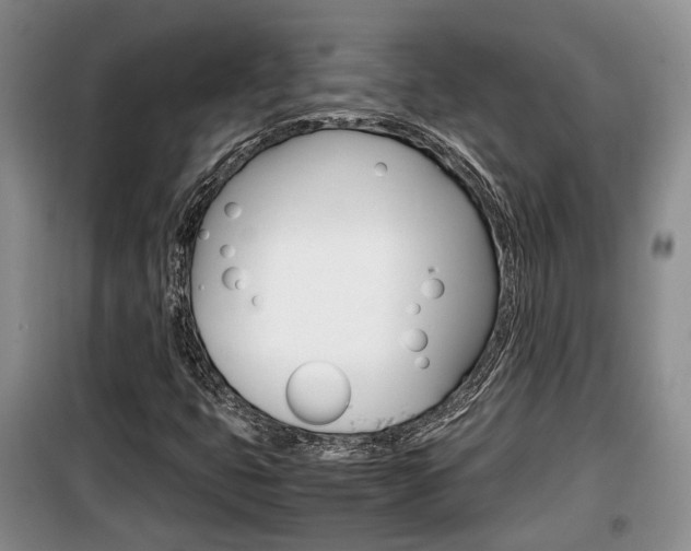X0000100191399200805300714