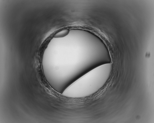 X0000100191400200805300714