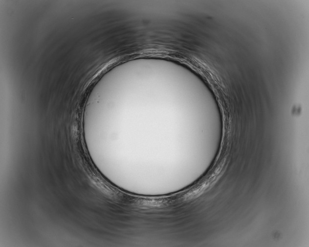 X0000100191401200805300714