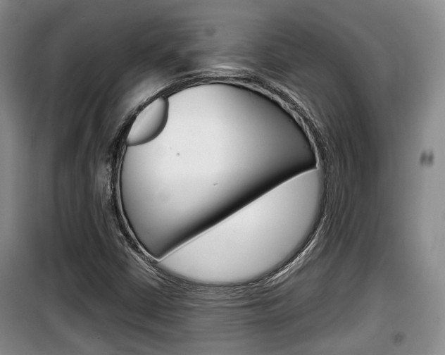 X0000100191402200805300714