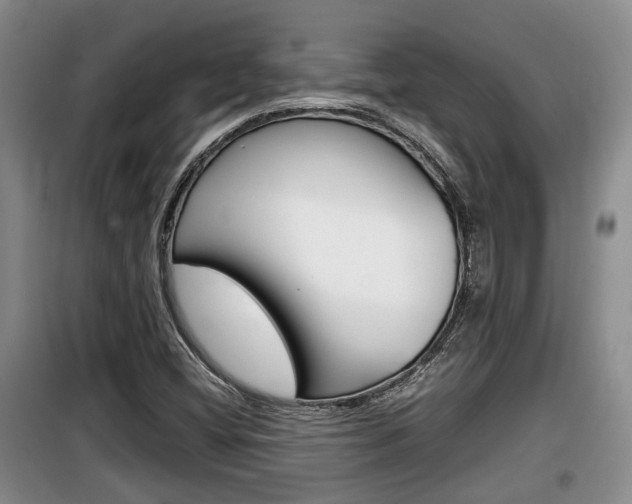 X0000100191404200805300714