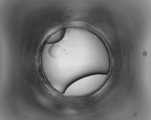 X0000100191405200805300714