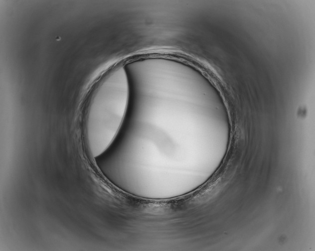 X0000100191406200805300714