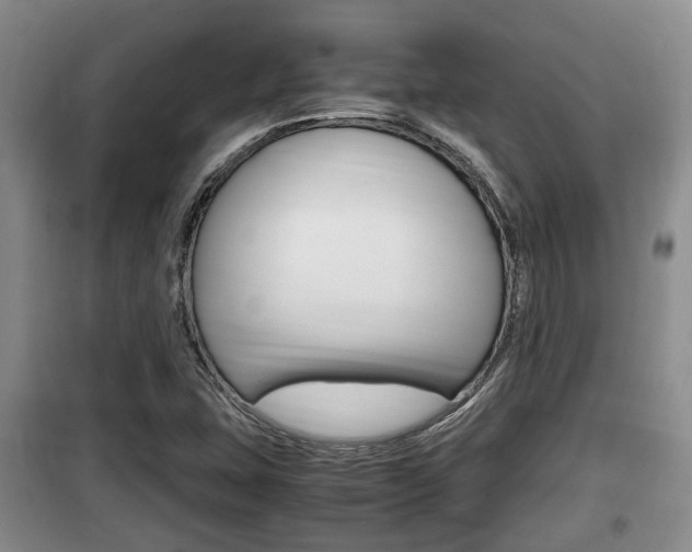 X0000100191407200805300714