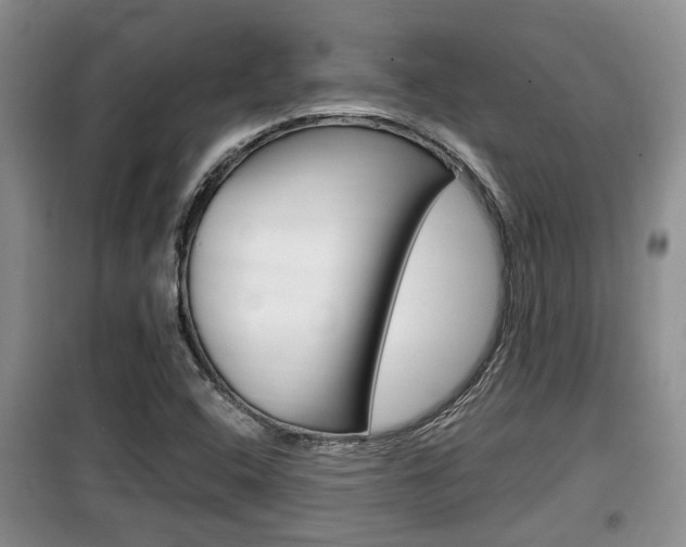 X0000100191408200805300714