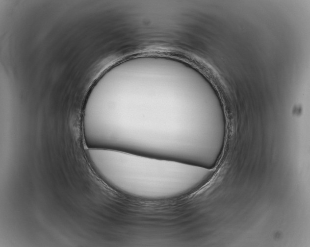 X0000100191409200805300714
