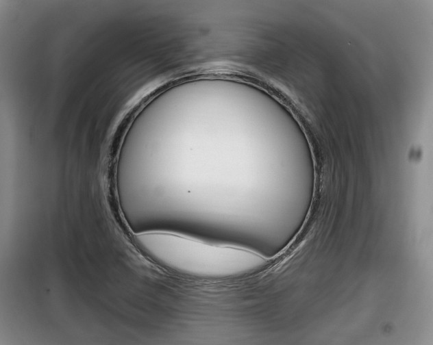X0000100191410200805300714