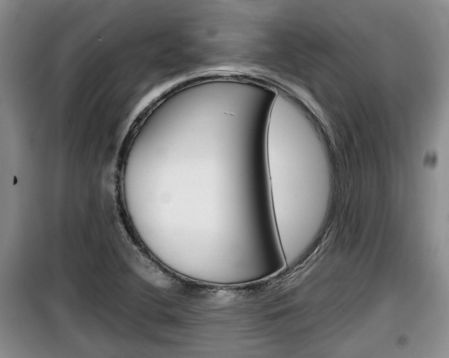 X0000100191412200805300714