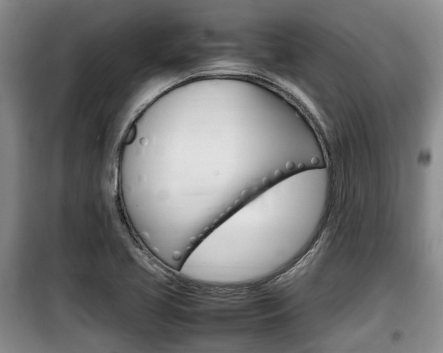 X0000100191413200805300714