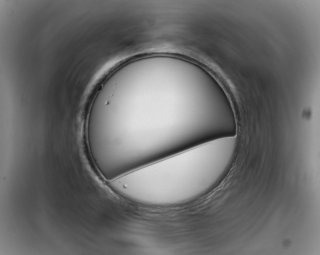 X0000100191416200805300714
