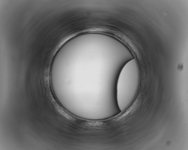 X0000100191417200805300714
