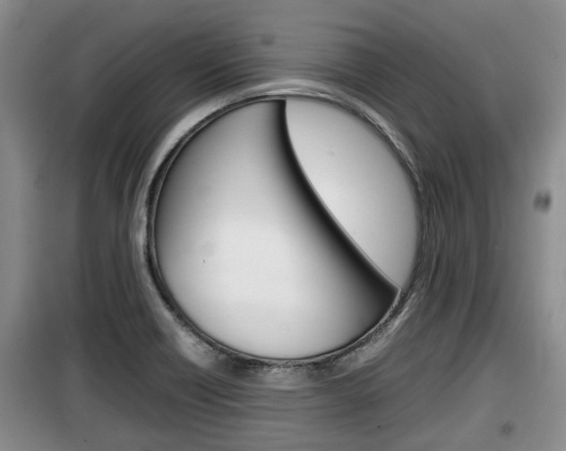 X0000100191418200805300714