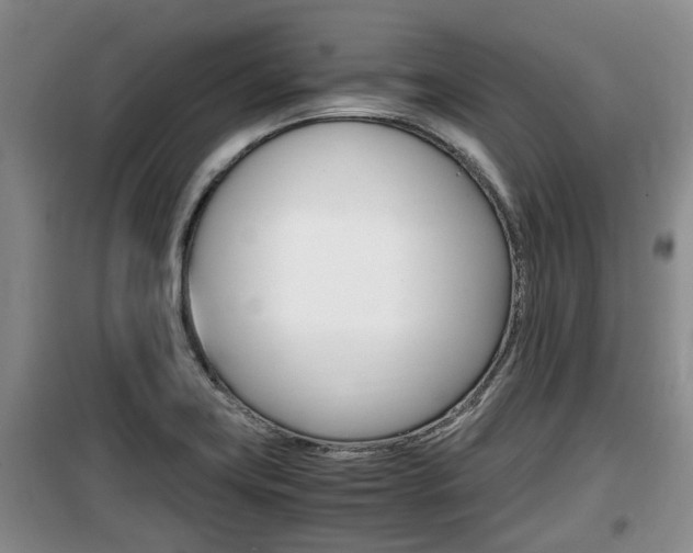 X0000100191419200805300714